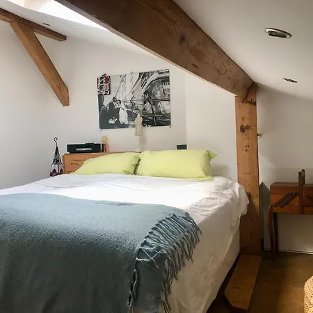 Duplex Atypique Proche Montparnasse & Parc Expositions Daire Paris